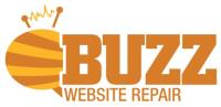 BUZZ Website Repair image 8